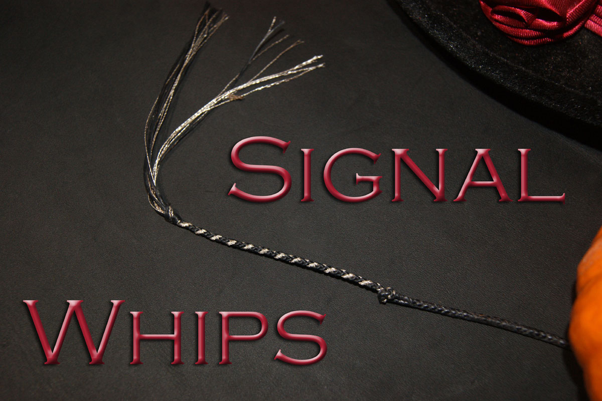 Signal Whips Cover